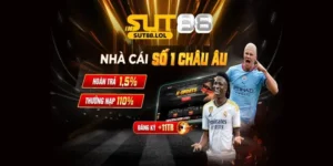 Đăng nhập Sut88